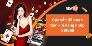 Các vấn đề quan tâm khi đăng nhập NEW88