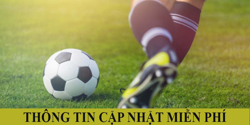 Tìm kiếm thông tin miễn phí