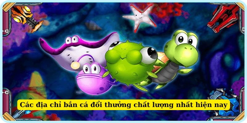 Các địa chỉ bắn cá đổi thưởng chất lượng nhất hiện nay